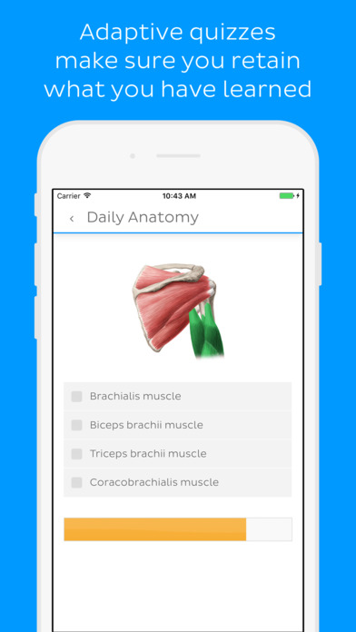 Daily Anatomy Flashcards screenshot 3
