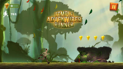 Wild Temple Jungle Run screenshot 3