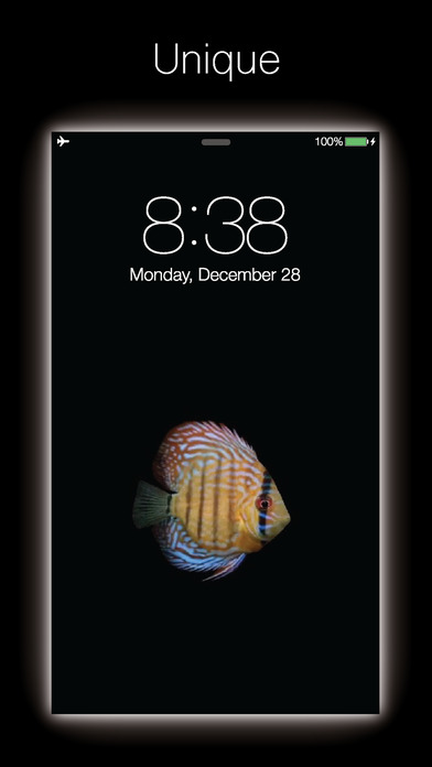 Live Fish - Live Wallpapers for Fish with Black BG screenshot 3