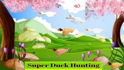 Duck Hunting Real Shooting Game screenshot 3