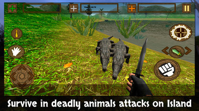 Survival on the Island screenshot 2