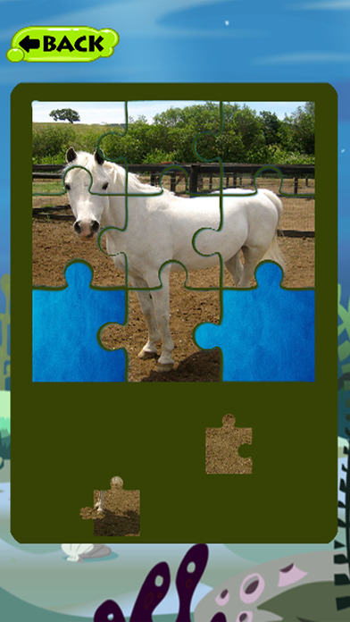 Learn Pony And Horse Games Jigsaw Puzzles screenshot 3
