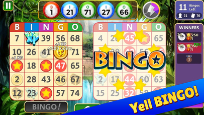 Bingo Star screenshot 2