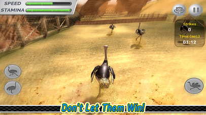 Ostrich Racing 3D Simulator screenshot 4