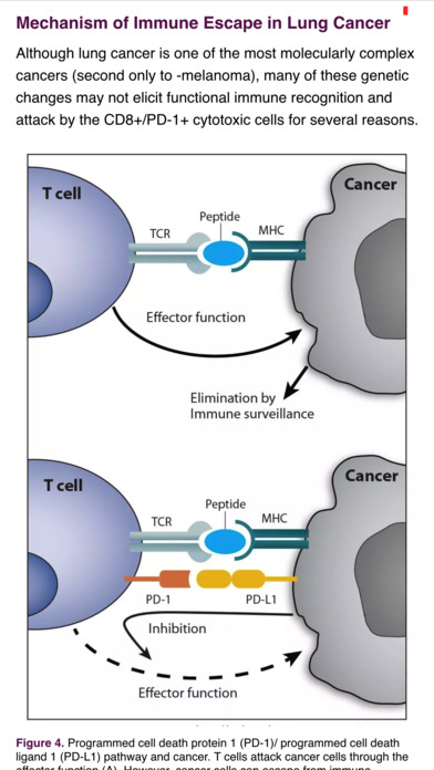 IASLC Atlas of PD-L1 Testing in Lung Cancer screenshot 2