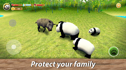 Panda Family Simulator Full screenshot 4