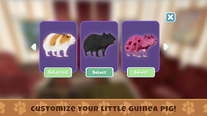 Guinea Pig Simulator Game screenshot 4