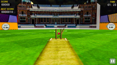 Cricket Run Out 3D screenshot 3