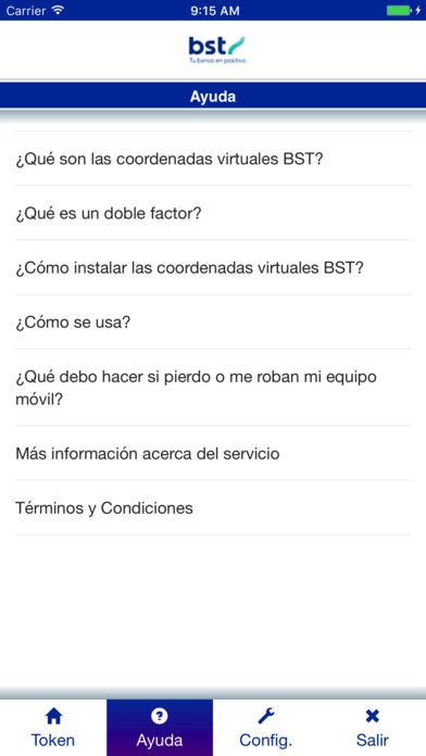 BST Coordenadas Virtuales screenshot 2