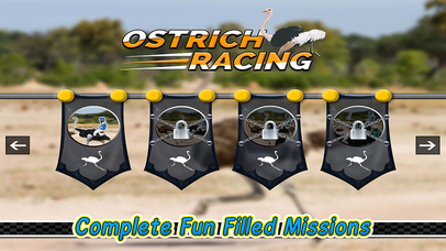 Ostrich Racing 3D Simulator screenshot 2