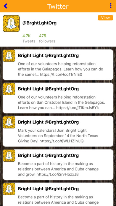 Bright Light Volunteers screenshot 3