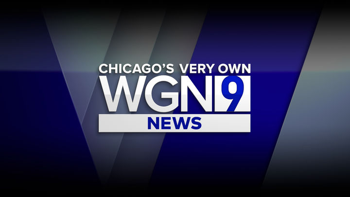 naked wentworth miller sex video wgn chicago morning news redhead