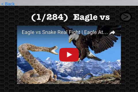 Eagle Photos & Video Galleries FREE screenshot 3