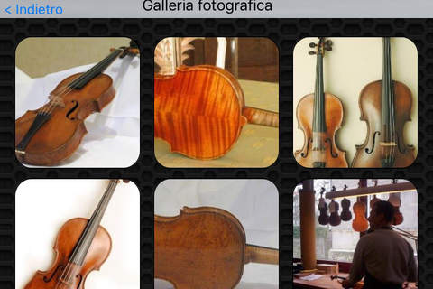 Violin Photos & Videos FREE |  Amazing 291 Videos and 29 Photos | Watch and learn screenshot 4