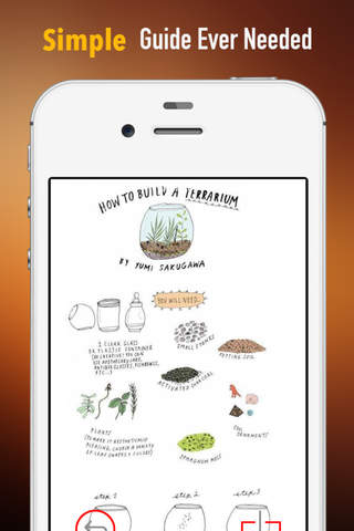 How to Build Your Own Terrarium Gardens:Guide and Tips screenshot 2