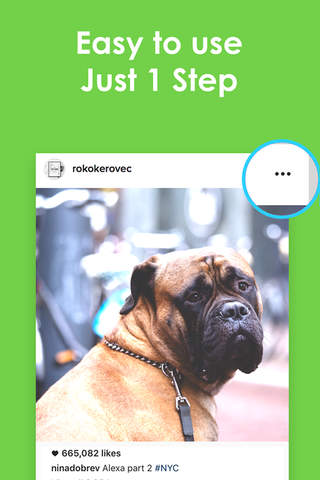 InstaSave - Download Your Instagram Photo & Videos screenshot 3