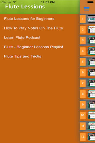 Flute Lessons - How To Play Flute By Videos screenshot 3