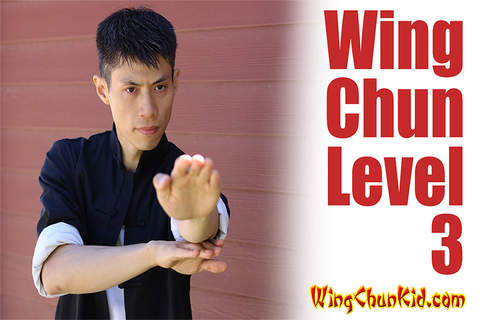 Wing Chun Self Defense - Kung Fu Chinese Martial Arts screenshot 4
