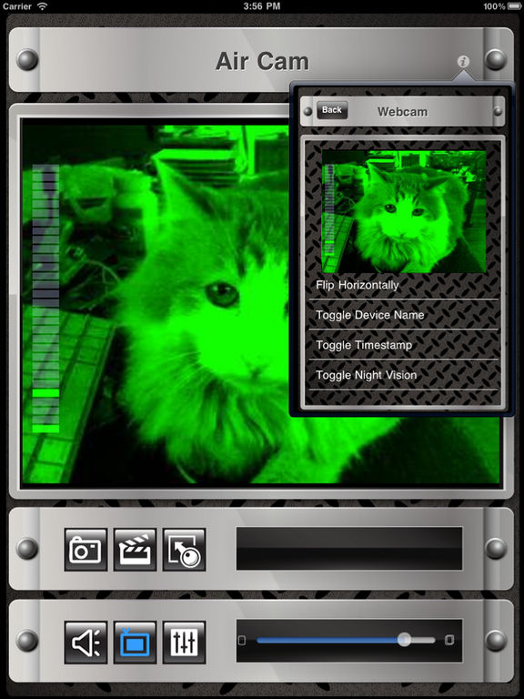 iPad Screenshot 3