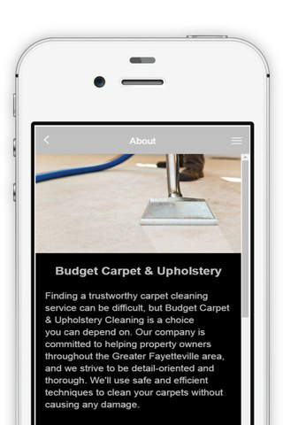 Budget Carpet & Upholstery Cleaning screenshot 2