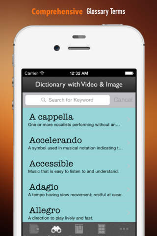 Classic Music and Symphony Dictionary and Flashcard: Video Lessons and Cheat Sheets screenshot 3