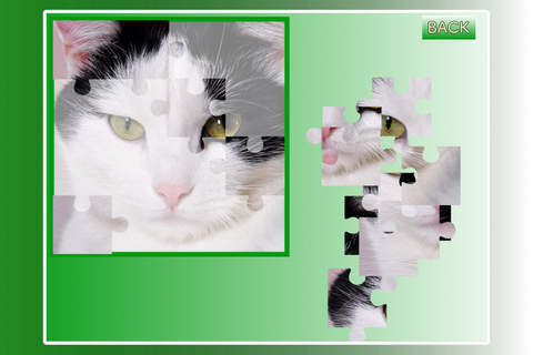 AMAZING JIGSAW PUZZLE WITH PHOTOS! Free screenshot 2