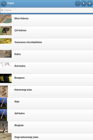 Directory of snakes screenshot 2