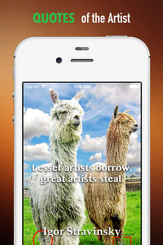 Alpacas Art Wallpapers HD: Quotes Backgrounds with Art Pictures screenshot 4