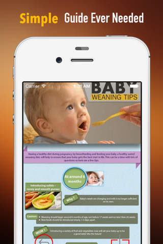Weaning Guide:Baby Weaning screenshot 2