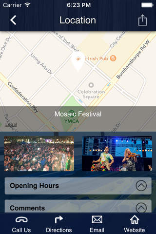 Mosaic Festival screenshot 2