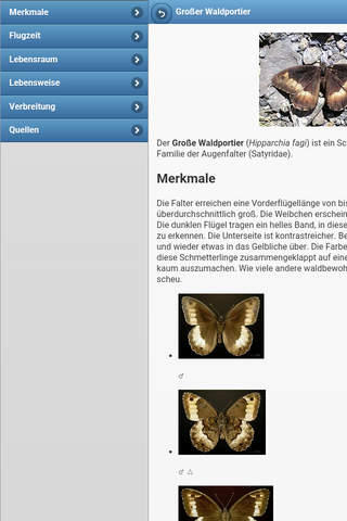 Directory of butterflies screenshot 4