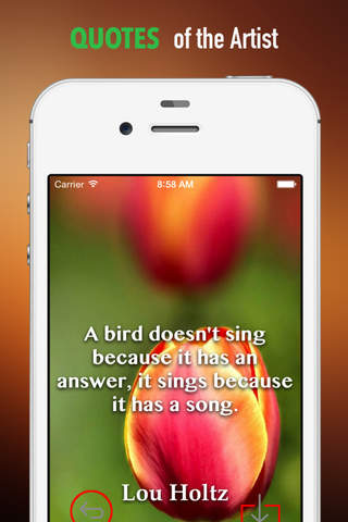 Tulip Wallpapers HD: Quotes Backgrounds with Art Pictures screenshot 4