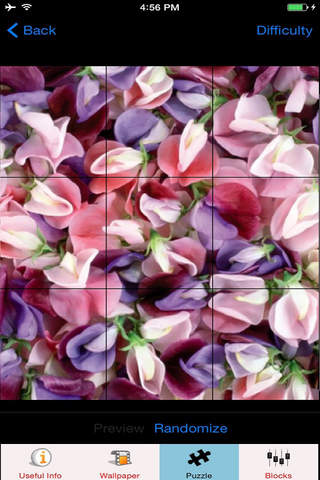 Petals Wallpaper HD & Flowers Petals Puzzle screenshot 2