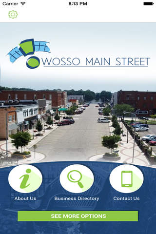 Owosso Main Street screenshot 3