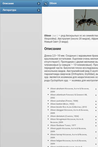 Directory of wasps screenshot 4