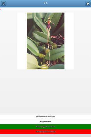 Houseplants - quiz screenshot 3