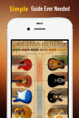 Guitar Collections:Collection Guide with Hot Topics screenshot 2