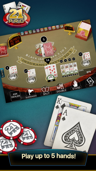 Blackjack Professional instal the new version for iphone