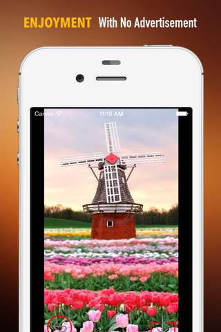 Flowers and Windmills Wallpapers HD: Quotes Backgrounds with Art Pictures screenshot 2