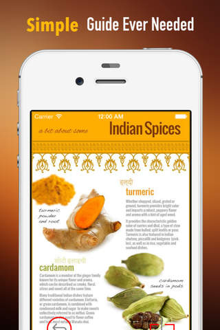 Indian Cooking:Traditional and Creative Recipes screenshot 2