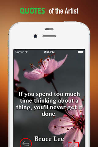 Plum flower Wallpapers HD: Quotes Backgrounds with Art Pictures screenshot 4