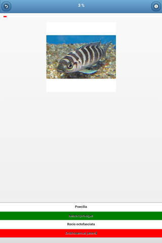 Aquarium fish - quiz screenshot 3