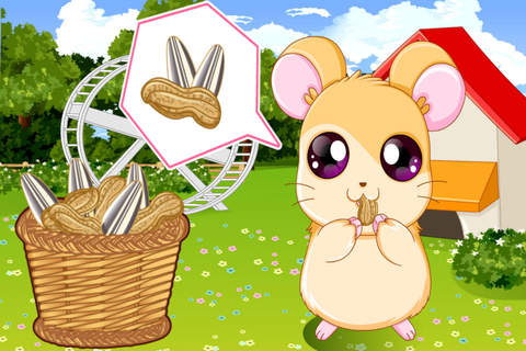 Pet Stars Baby Hamster ——Animal World/Fantasy Summer screenshot 2