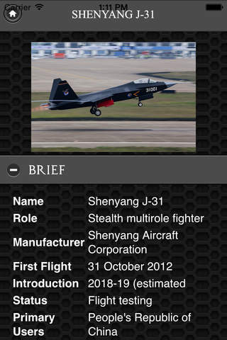 Shenyang J-31 FREE screenshot 3