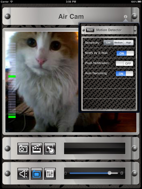 iPad Screenshot 2