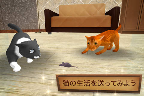 Cat Simulator 3D PRO screenshot 2