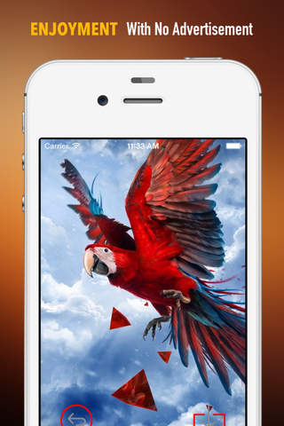 Parrot Wallpapers HD: Quotes Backgrounds with Art Pictures screenshot 2