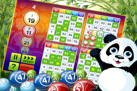 Bingo - Cute Panda Pro - Casino Games screenshot 3