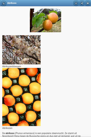 Directory of fruit trees screenshot 2