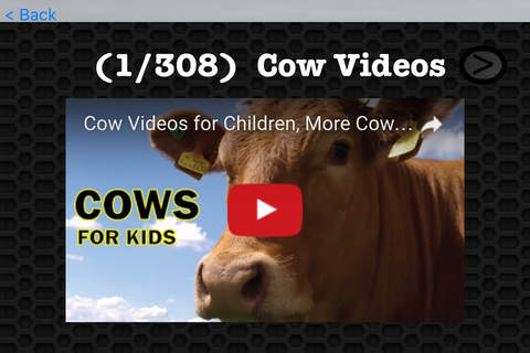 Cow Video and Photo Galleries FREE screenshot 3